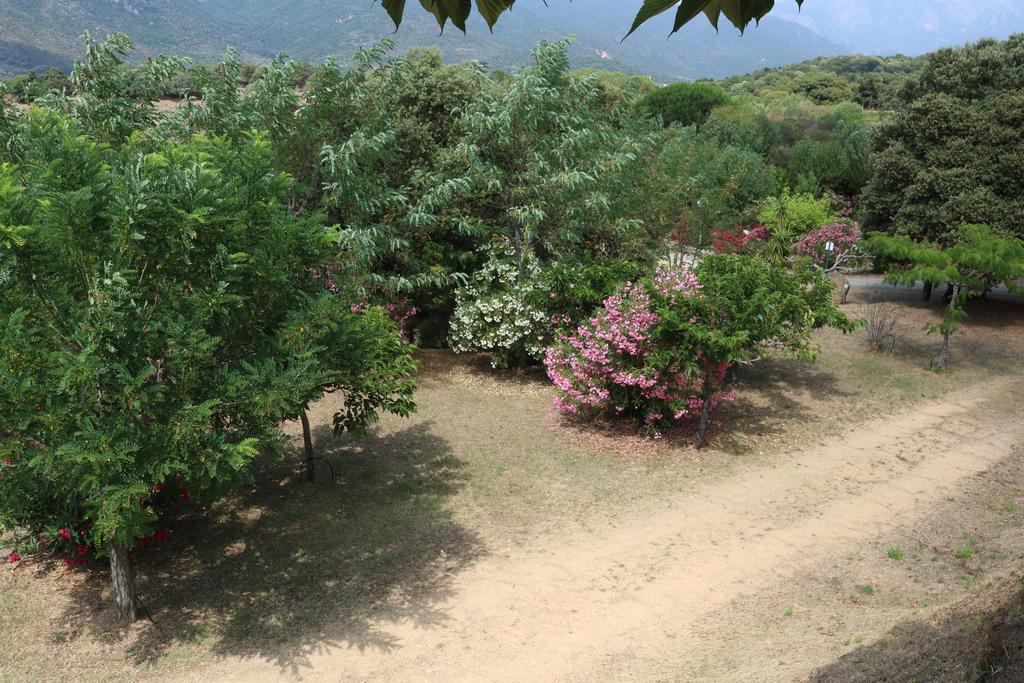 Camping Les Couchants Casaglione Экстерьер фото